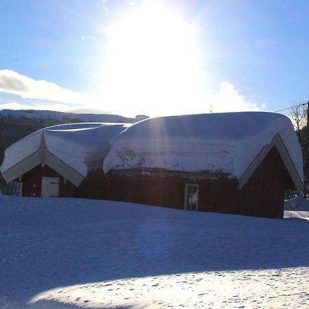 Gamlestugu Hytte Ål Exterior foto